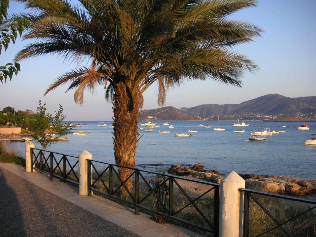 The Mirador Boutique Villa With Scenic Sea View Porto Rafti Exterior photo